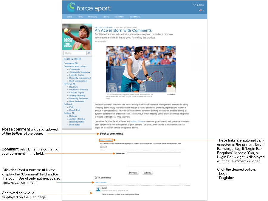 Description of Figure 31-1 follows Description of Figure 31-1 follows