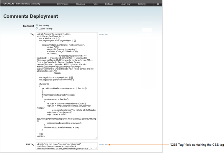 Description of app_csttag1.png follows Description of app_csttag1.png follows