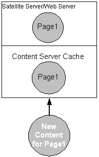 Description of cs-ss1.gif follows