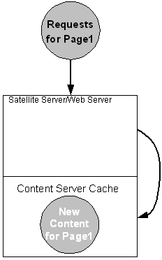 Description of cs-ss3.gif follows