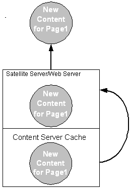 Description of cs-ss4.gif follows