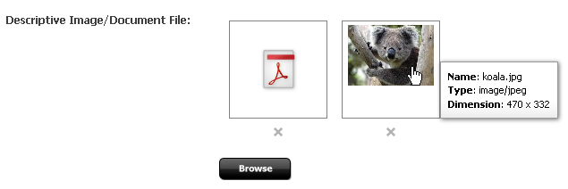 Description of uploader_thumbnails.png follows