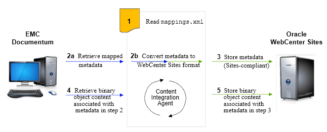 Description of Figure 62-2 follows