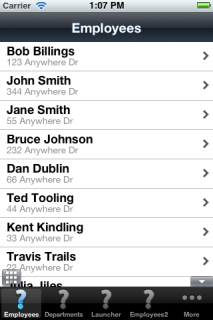 The default navigation bar.