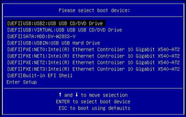 Select Boot Device menu in UEFI BIOS mode image:Select Boot Device menu in UEFI BIOS mode