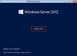 image:Install now screen.