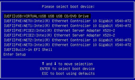 Select Boot Device menu in UEFI BIOS mode image:Select Boot Device menu in UEFI BIOS mode