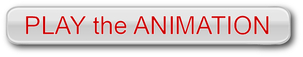 image:Clink the link below to play the animations.