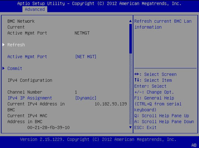 image:A screen capture showing the BIOS Setup Utility Advanced menu                     screen.