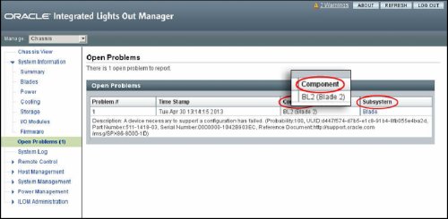 image:Screen capture showing the CMM Open Problems screen.