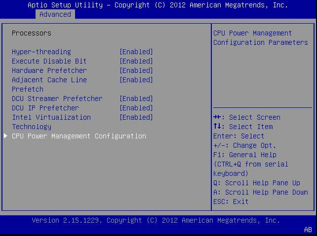 image:A screen capture showing the BIOS Setup Utility Advanced menu                     screen