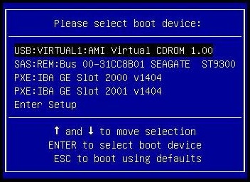 image:A screen capture showing a sample Boot Device