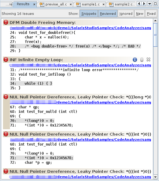 image:Code Analyzer Results tab showing static and dynamic                                 errors