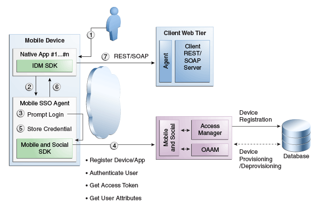 Description of Figure 38-5 follows