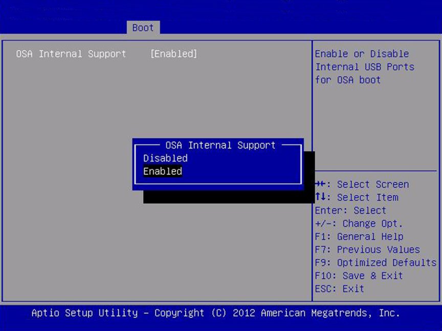 image:A screen capture showing the legacy mode Boot BIOS screen.