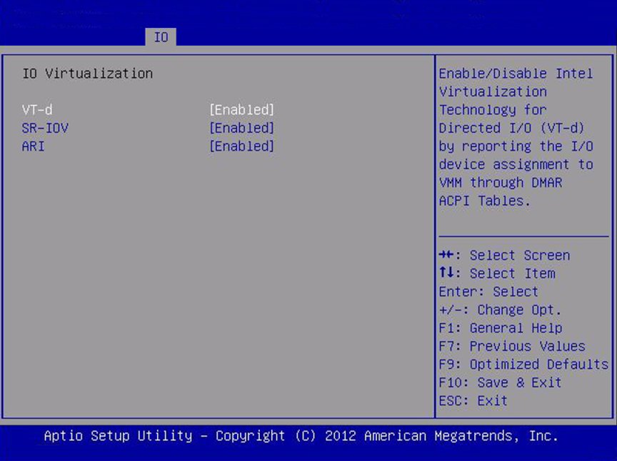 image:Screen capture showing the IO Virtualization screen.