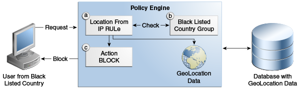 Description of Figure 13-8 follows