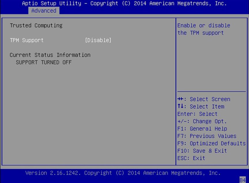 image:Screen capture showing the Advanced screen.