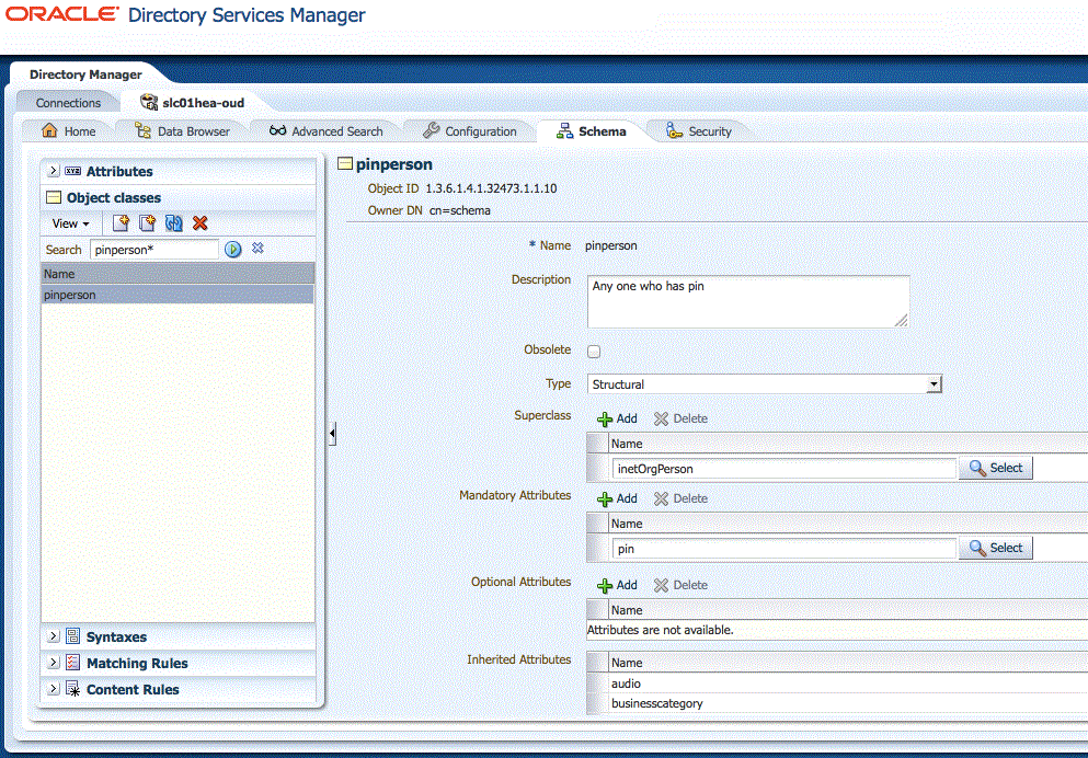 Using ODSM to create the pinperson object class Using ODSM to create the pinperson object class