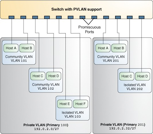 image:Two PVLANs on a switch that support PVLAN