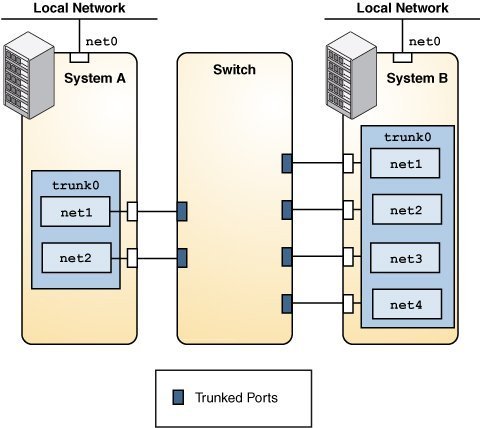 image:This figure shows a local network with two systems where each system has                      a trunk aggregation configured.