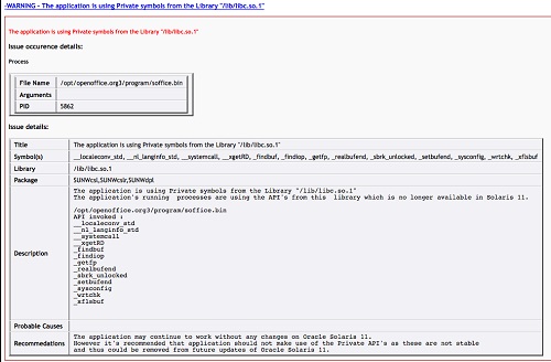 image:Image shows a sample issue description from a runtime scan.