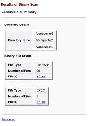 image:Image shows the analysis summary of a binary scan.