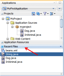 Application Navigator with the Recently Opened Files accordion expanded to show Dog.java and IntAnimal.java files.