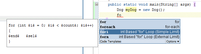 Source editor with the fori intBased 