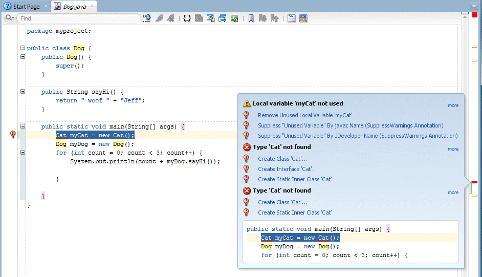 Source editor with cursor on red error marker, saying that Cat type not found.