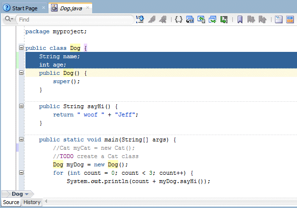Source editor showing name and age variables added to Dog class.