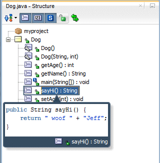 Strucure window with the sayHi method selected: pop up window displays the full method signature.