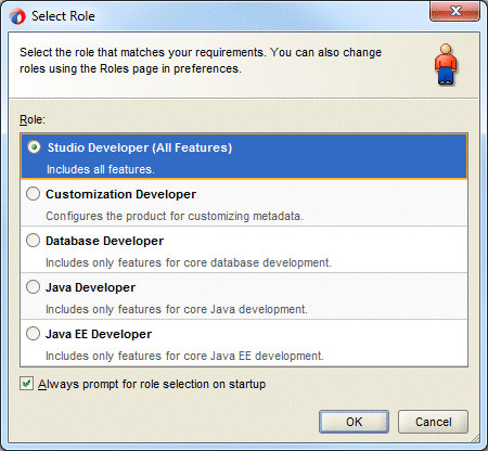 Select Role dialog at startup