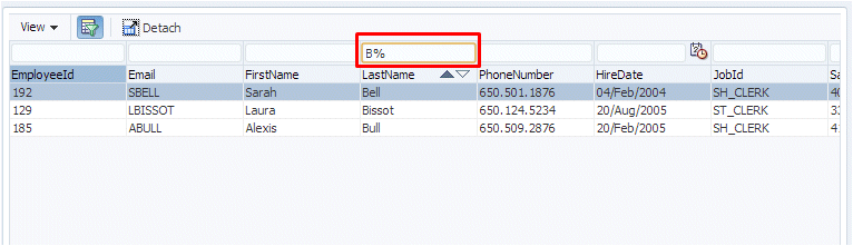 Run time view as before with B% in Filter field at top of LastName column. 3 names are displayed starting with B.