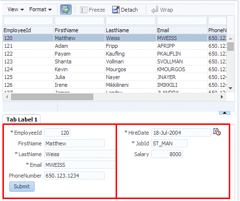 Runtime view of page with showDetailItem tab. Fields have been ordered into two columns.