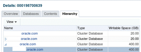 Test master and clone database
