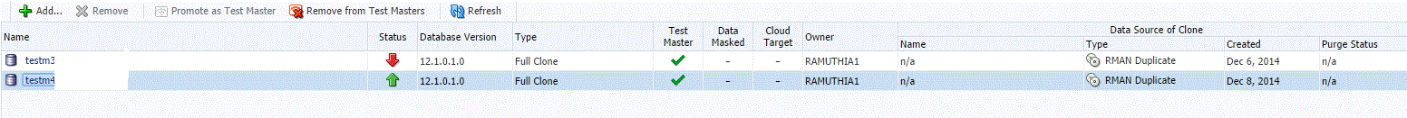 Managing clone databases