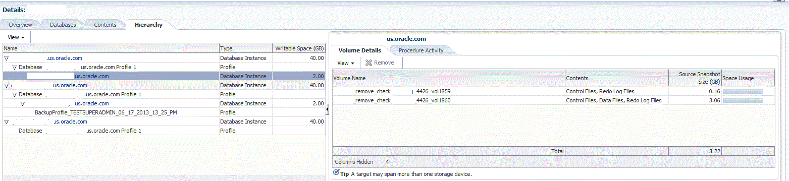 Storage Registration page Hierarchy tab