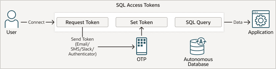 Description of autonomous-sqlaccesstoken-workflow.png follows