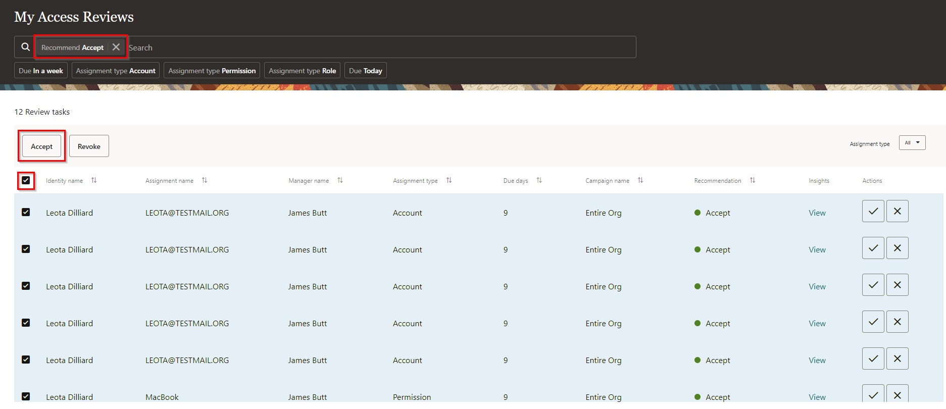 Bulk Review of Access Privileges