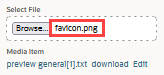 File name in the Select File field.