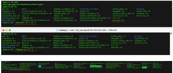 II. Execute parquet.sh and hadoop.sh and azure_blob_storage.sh with the required versions. II. Execute parquet.sh and hadoop.sh and azure_blob_storage.sh with the required versions.