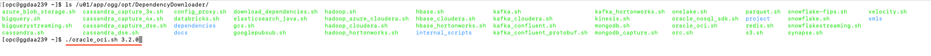 oracle_oci.sh required version oracle_oci.sh required version