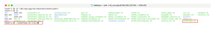 Snowflake Ingestion - Install dependency Snowflake Ingestion - Install dependency