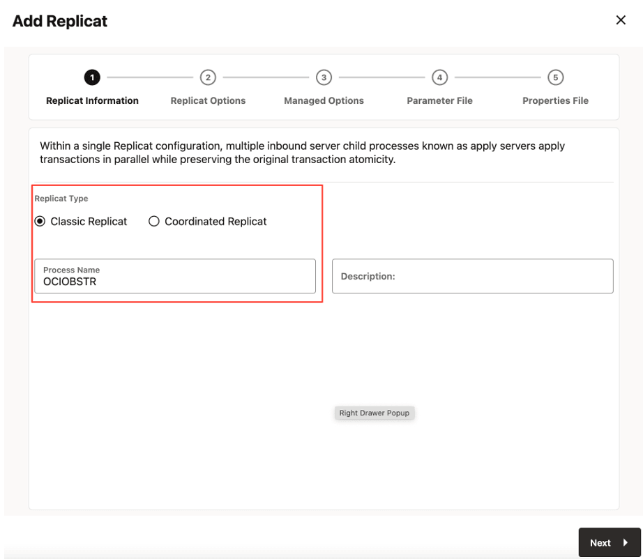 Select the ReplicatType and click Next. Select the ReplicatType and click Next.