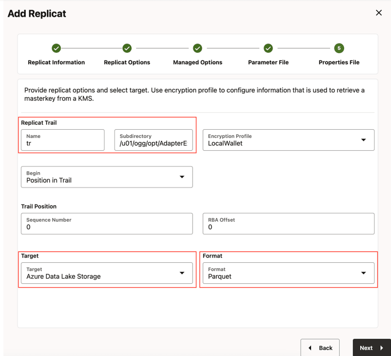Enter Replicat Options.