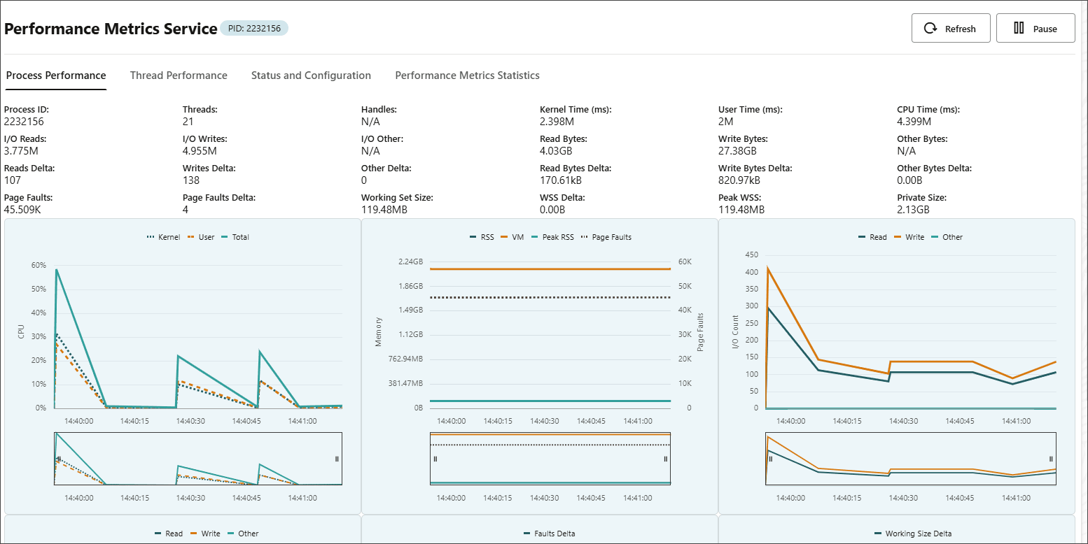 Process Performance tab in the Performance Metrics Service page Process Performance tab in the Performance Metrics Service page