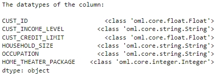 Shows the datatypes of columns Shows the datatypes of columns