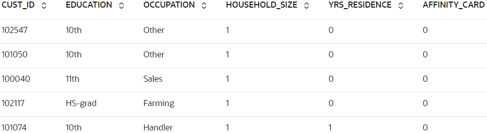 Shows top 5 tows of SUPPLEMENTARY_DEMOGRAPHICS Shows top 5 tows of SUPPLEMENTARY_DEMOGRAPHICS