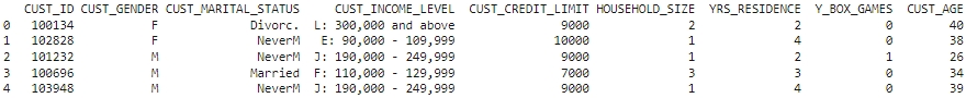 shows customer data shows customer data